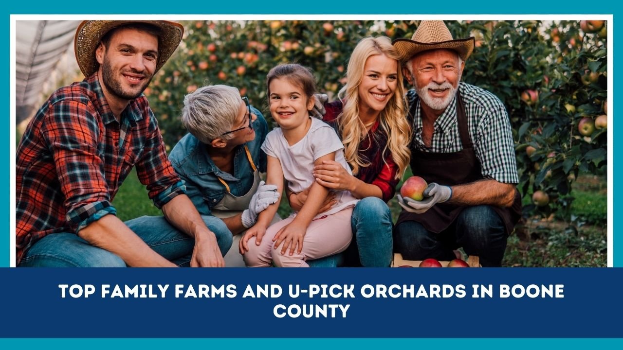 Top Family Farms And U-Pick Orchards In Boone County